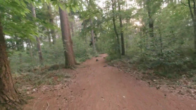 Belgian couple fucking in forest