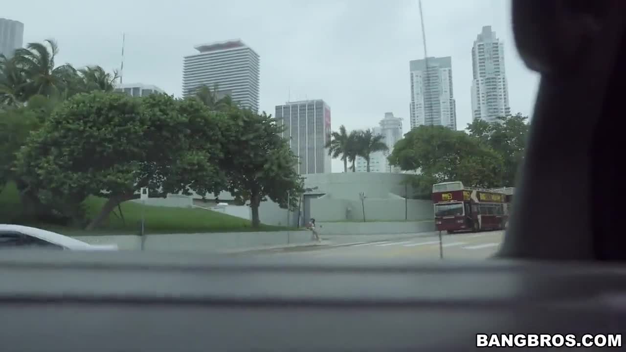 Watch Miami&#39;s best sightseeing tour Porn Video - ePornSup.